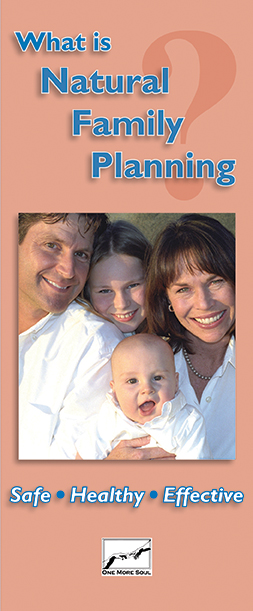 PNFP cover for web.jpg